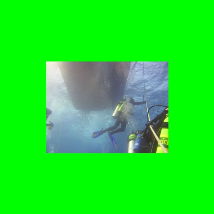 Dive NC 4-Jul-09_561 Hanging-2.jpg